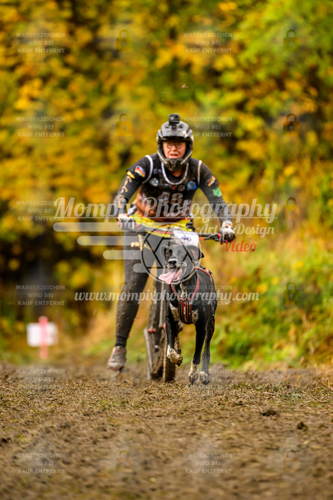 MompixPhotography_ICF_WC_2024_SA_DS_-107 | PayLife