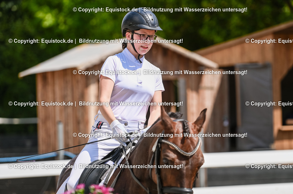 20230715_09_Dressur-WB_0228 | equistock