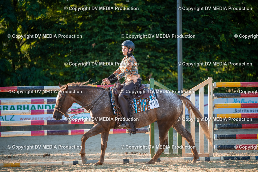 EWP_7242 | dv-media-shop - Realisiert mit Pictrs.com