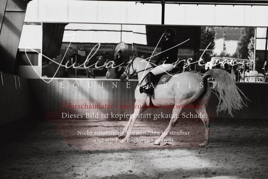 DSC_7425 | Pferde- und Turnierfotografie in Westsachsen. Pferdeportraits, Auftragszeichnungen und intuitive Kunst.