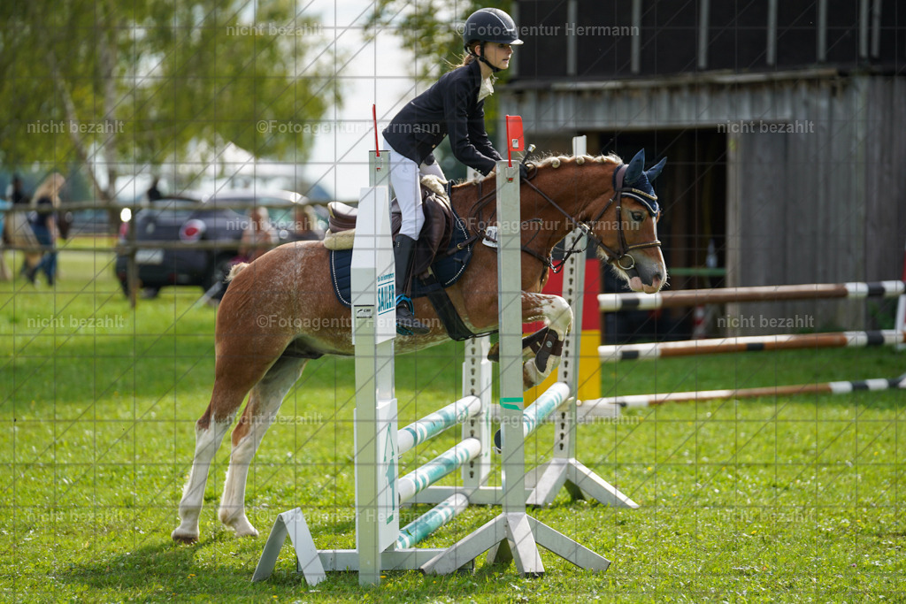 20230917-FAH09223 | Landsberg am Lech, 2023, Kaufbeuren, Kempten, Allgäu, Turnierfotografen Bayern, Fotoagentur Herrmann, Turnierbilder, Reitsport Fotos, Pferdefotograf, Augsburg, Bad Tölz, Dachau, Karlsfeld, Memmingen, Buchloe, Schwabmünchen