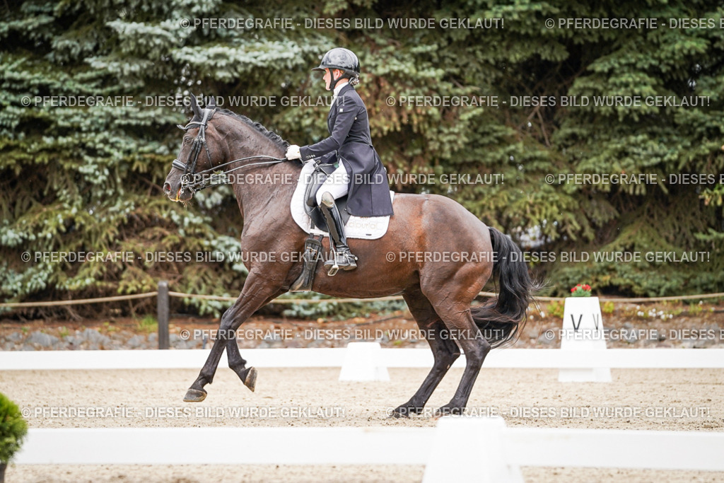 DSC07125 | Pferdegrafie