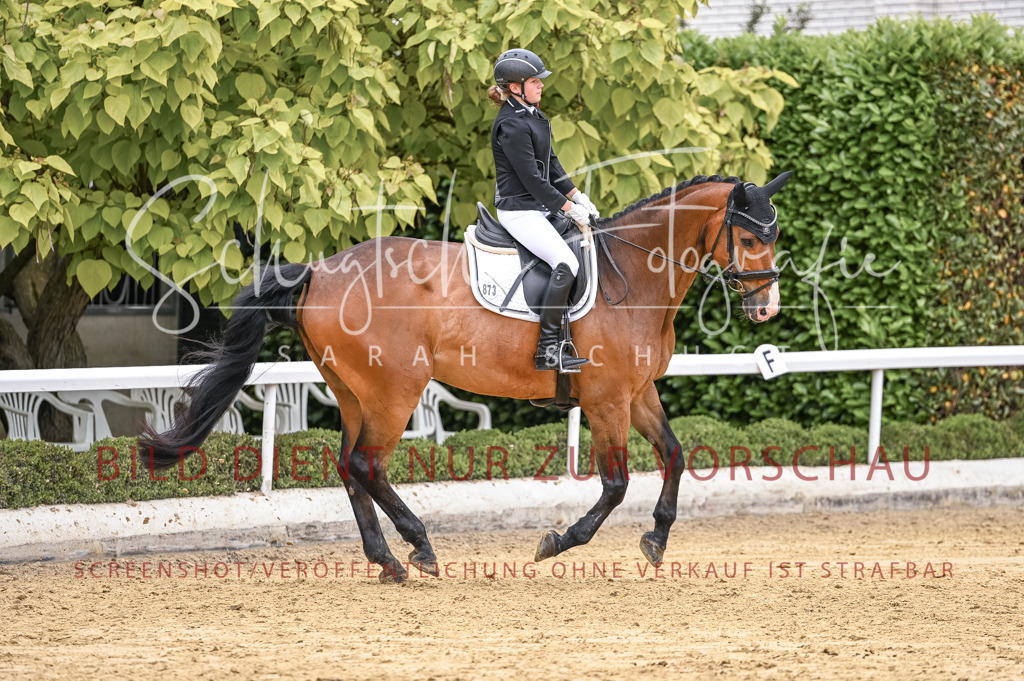 Schugtsche-Aluta25-43.EDressur -49 | Schugtsche Fotografie - Realisiert mit Pictrs.com