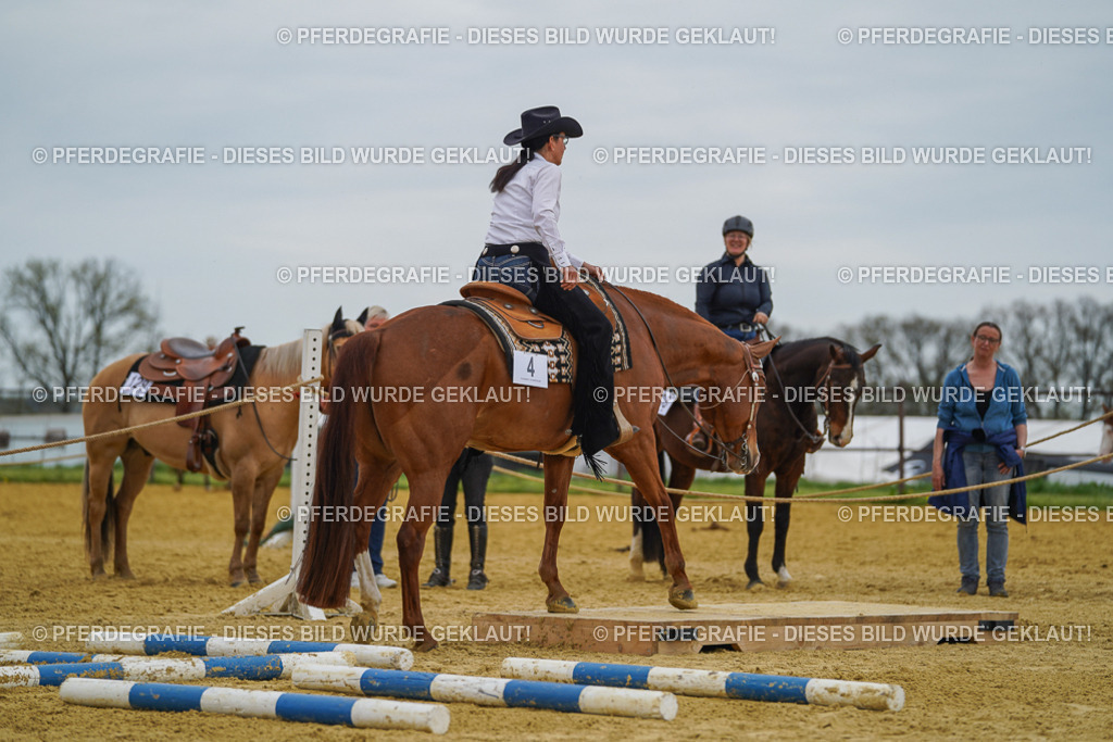 DSC02543 | Pferdegrafie