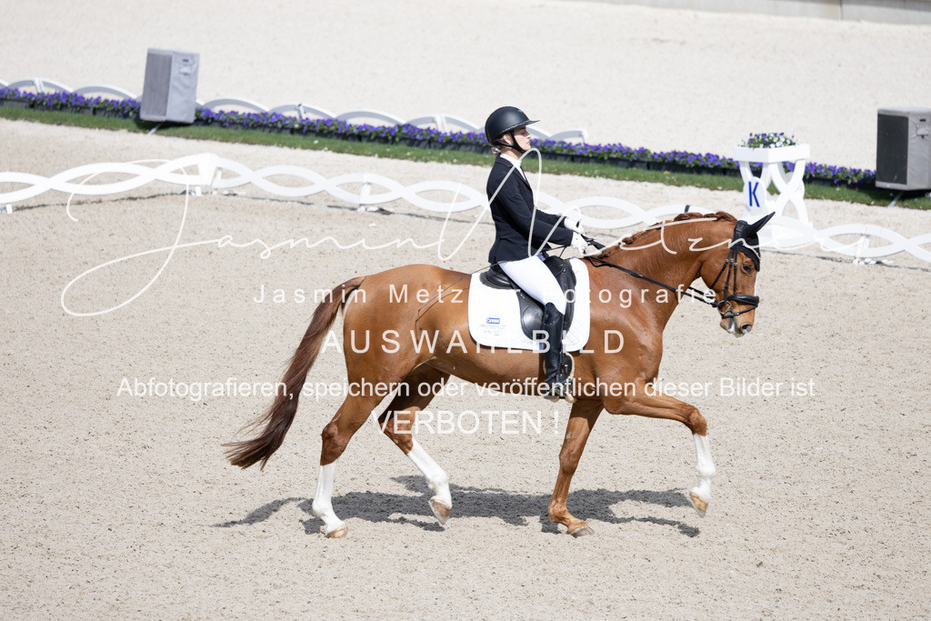 126A0260 | jasminmetznerfotografie