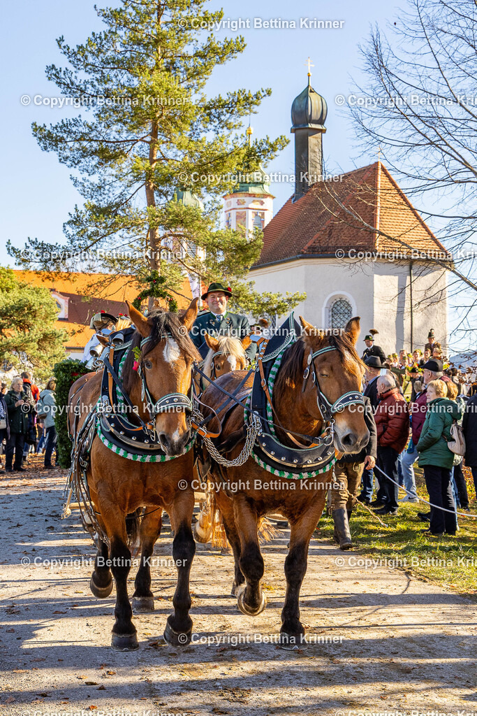 LBT25-1374 | foto-bettina-krinner - Realisiert mit Pictrs.com