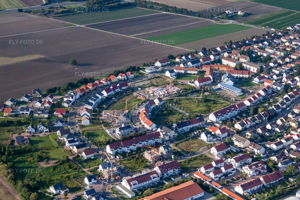 Luftbild: Medardusring in Mutterstadt im Bundesland Rheinland-Pfalz in Deutschland. Foto: IMG_71063.jpg vom 27.08.2014 durch Werner Riehm/FLY-FOTO.de