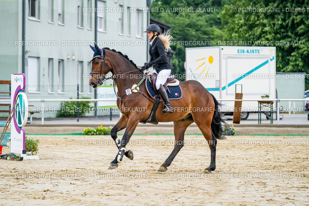 DSC02550 | Pferdegrafie