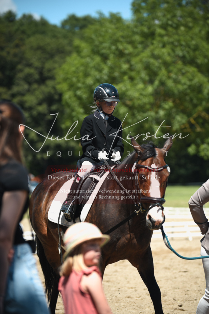 DSC_1806 | Pferde- und Turnierfotografie in Westsachsen. Pferdeportraits, Auftragszeichnungen und intuitive Kunst.