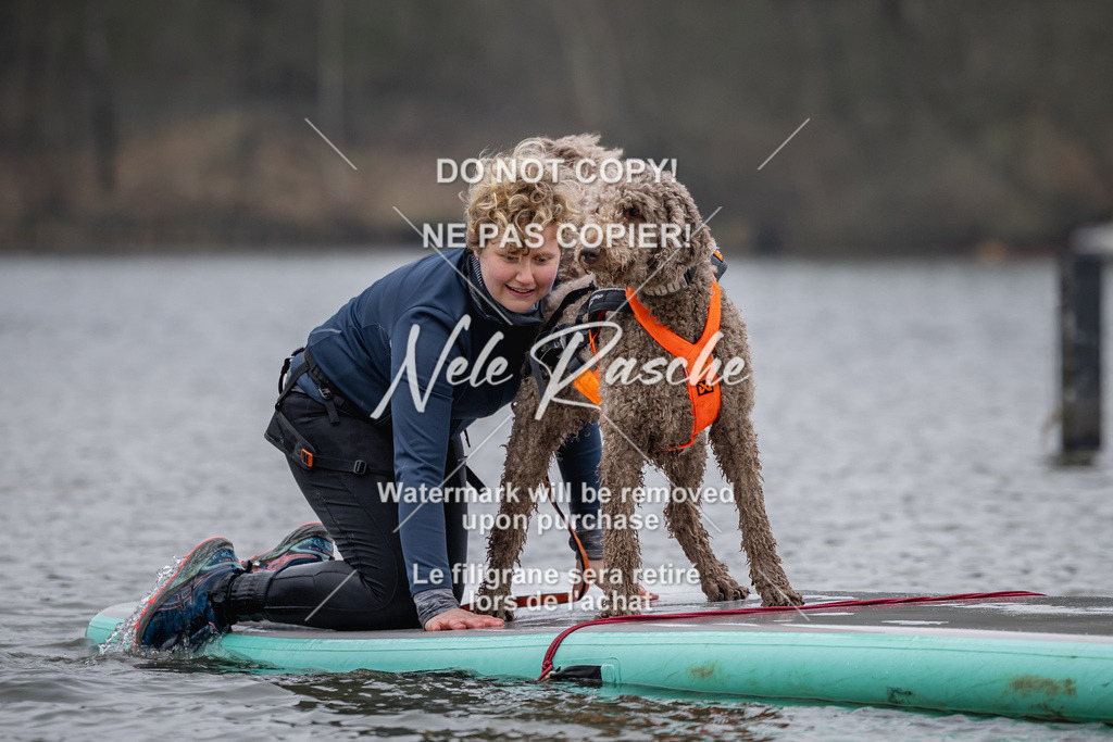 nelerasche_Hulsbeek_Sa1430-1515_459 | nelerasche
