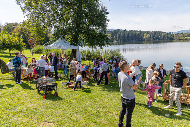 Kulinarischer Herbstreigen am Maltschacher See | Bildershop von pixelworld.at - Realisiert mit Pictrs.com