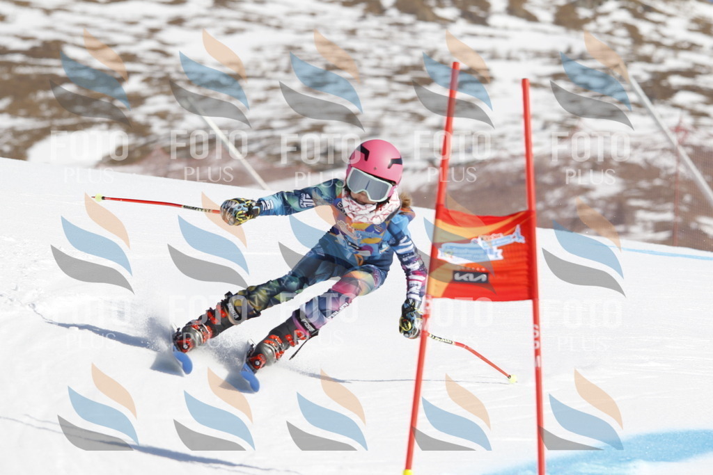 _U3G8857 | holidayphoto