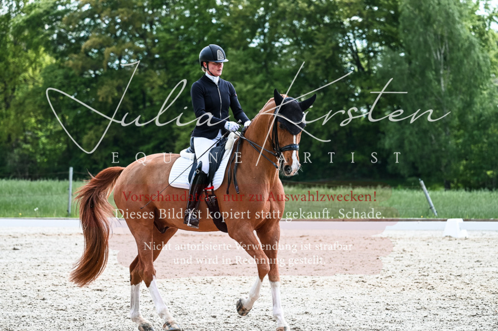 20230513_JK-Röhrsdorf-10-0771 | Pferde- und Turnierfotografie in Westsachsen. Pferdeportraits, Auftragszeichnungen und intuitive Kunst.