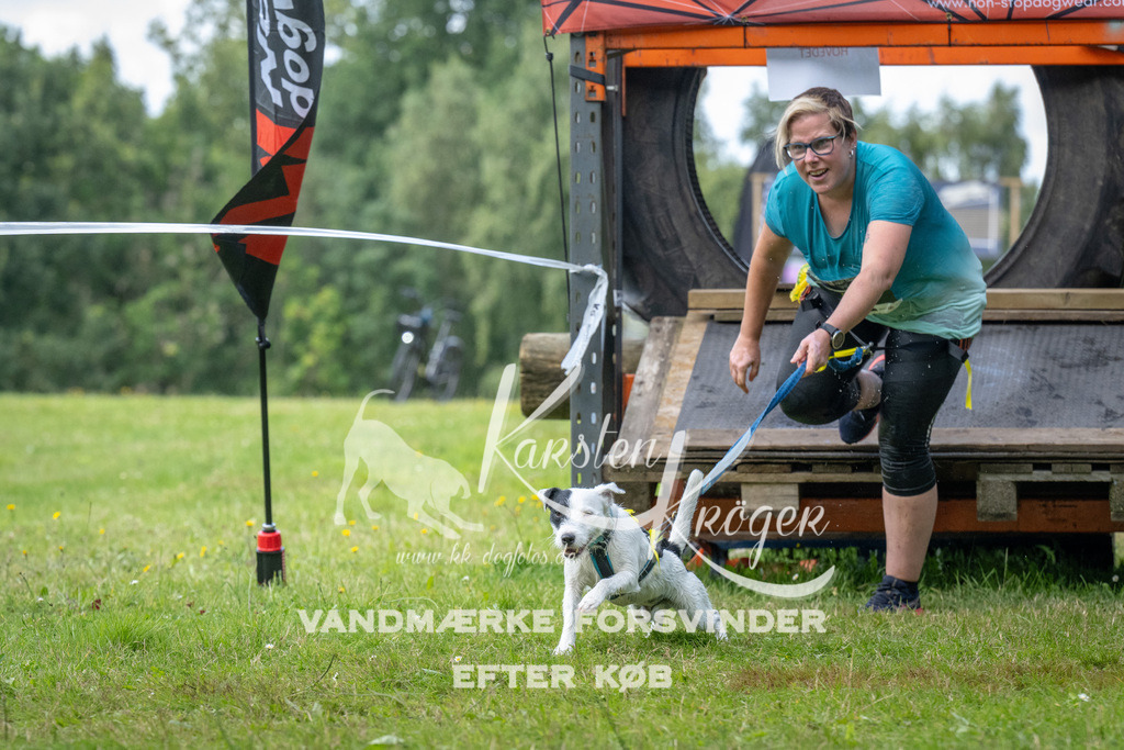 1555_ZZ94984 | kk-dogfotos