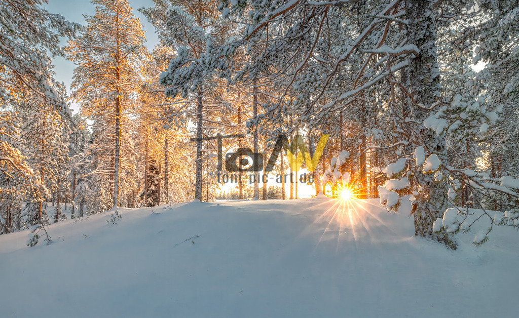 Schneebedeckte Tannen in schwedisch Lappland---Winterflair | Das Bild zeigt eine Winterlandschaft in Schwedisch Lappland, die von der tief stehenden, orangeroten Sonne angestrahlt wird. Details zur AufnahmeBeschreibung: Tief verschneite Tannen werden orangerot von der Sonne angestrahlt, eine Winterszene in Schwedisch Lappland.Die Region Lappland ist in den Wintermonaten, typischerweise von Dezember bis April, vollständig mit Schnee bedeckt und bietet ideale Bedingungen für Winteraktivitäten wie Schneemobil- oder Hundeschlittenfahrten.  - Realisiert mit Pictrs.com