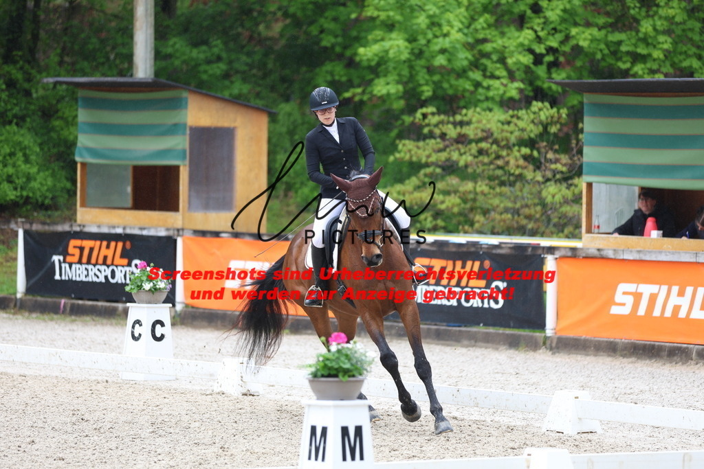 A40A8632 | lmwpictures - Realisiert mit Pictrs.com