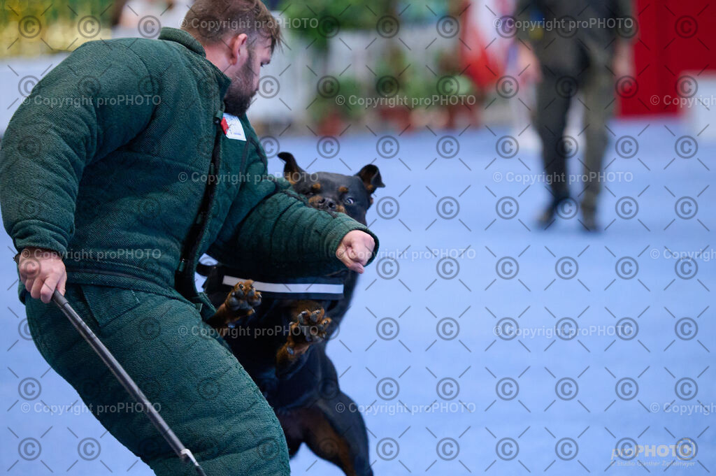 202406_ÖKV-IHA-Tulln24_DSC_3608 | proPHOTO - Realisiert mit Pictrs.com