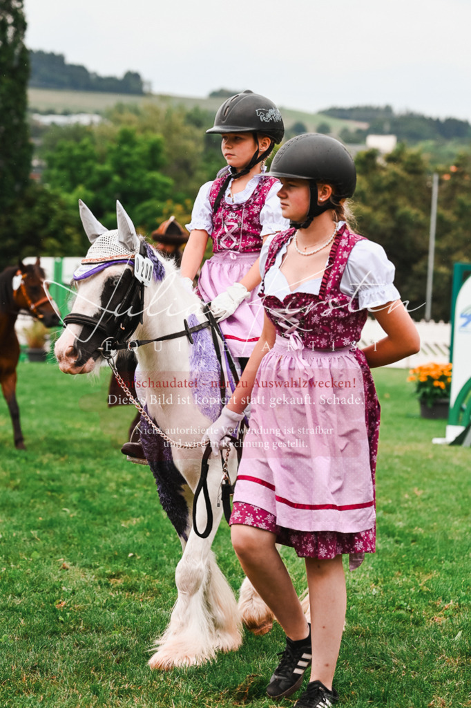 DSC_7320 | Pferde- und Turnierfotografie in Westsachsen. Pferdeportraits, Auftragszeichnungen und intuitive Kunst.