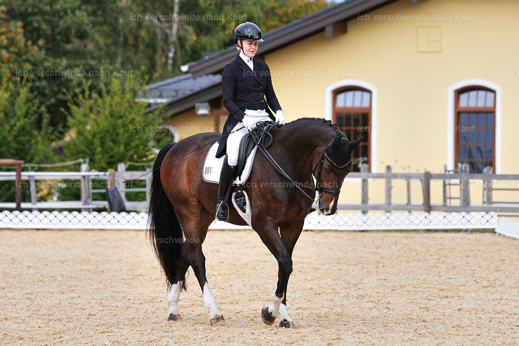 11-091-Dressur S___-Marixx-1628 | working equitationturnier fotograf videograf stoibphotography marixx film working equitation deutschland reitsport turnierfotografie eventfotografie equestrian events