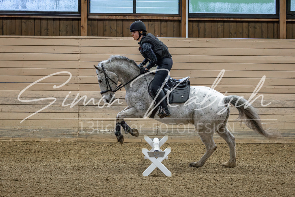 20260222-_3LI0697 | Tierfotografie Pferde, Hunde, Katzen, Haustiere.
Turnierfotografie Reitturniere, Reiten, Springreiten, Dressur in Hanau, dem Main-Kinzig-Kreis und dem Rhein-Main- Gebiet um Frankfurt