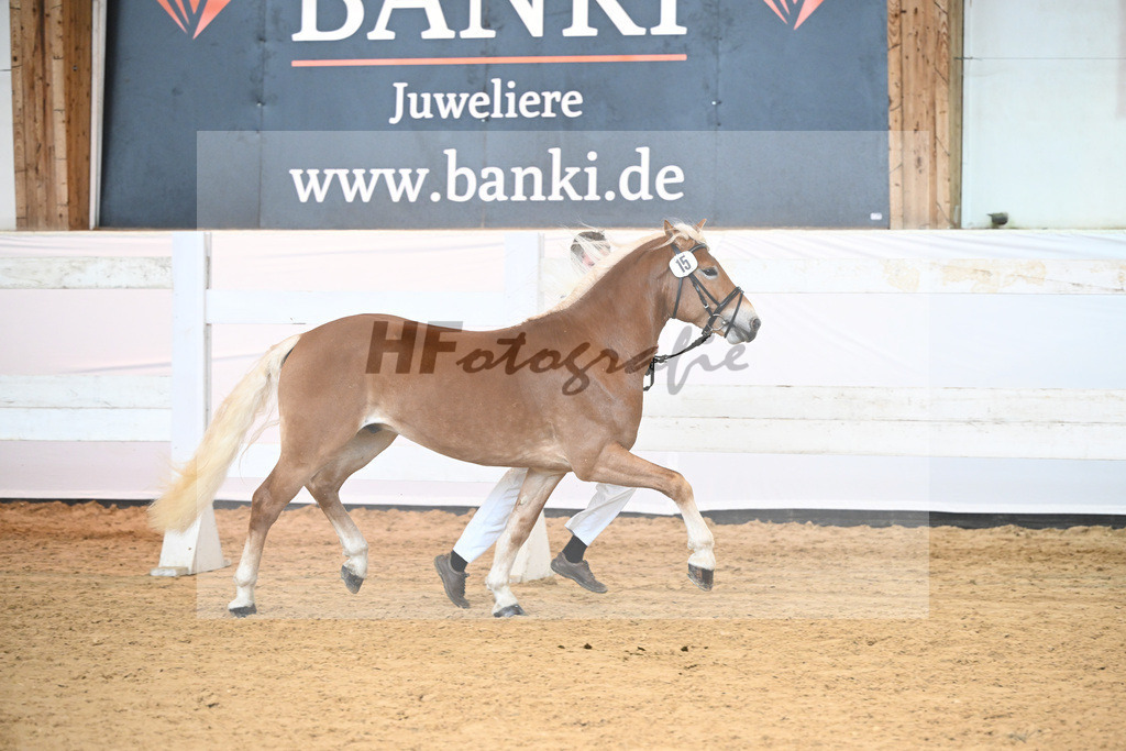Kat-Nr. 15 Neustern v. Neustart_Filary_6240303 | hf-fotografie - Realizzato con Pictrs.com
