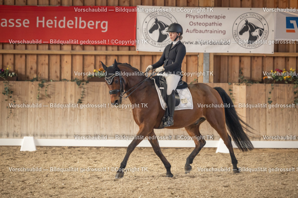 _D5A3061 | Emotionale Pferde- & People-Fotografie rund um Heidelberg, Leimen & Umgebung. Natürliche Fotos von Pferd, Mensch & Familie. Jetzt Termin sichern!