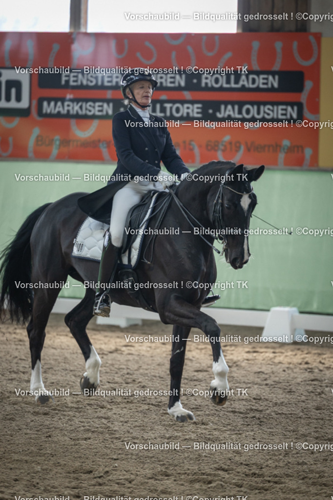 _D5A4643 | Emotionale Pferde- & People-Fotografie rund um Heidelberg, Leimen & Umgebung. Natürliche Fotos von Pferd, Mensch & Familie. Jetzt Termin sichern!