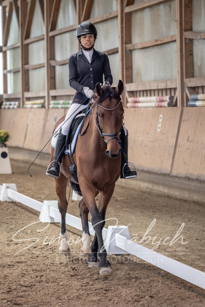 20251011-_3LI0394 | Tierfotografie Pferde, Hunde, Katzen, Haustiere.
Turnierfotografie Reitturniere, Reiten, Springreiten, Dressur in Hanau, dem Main-Kinzig-Kreis und dem Rhein-Main- Gebiet um Frankfurt