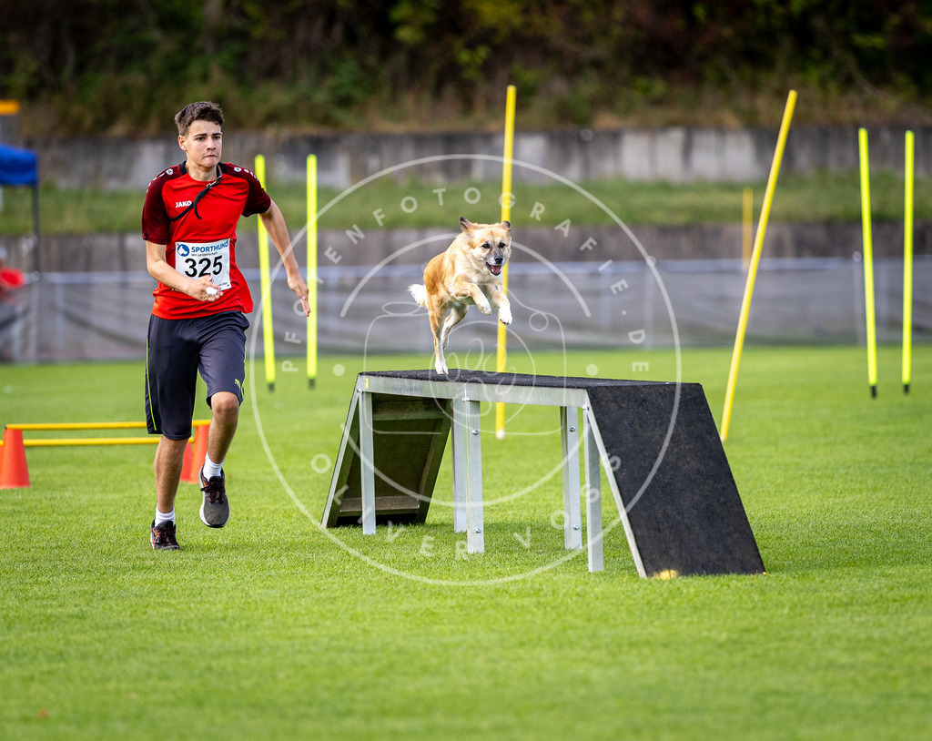 Pfotenfotografie_DV3A3209 | Hundefotografie, Tierfotograf, Pfotenfotografie, Fotoshooting Hund, Hunde Portrait, Hundesport, Hundeportraits, Heideshooting, Hunde, Sportfotograf, Hundefotograf, Turnierhundsport, THS,  - Realisiert mit Pictrs.com