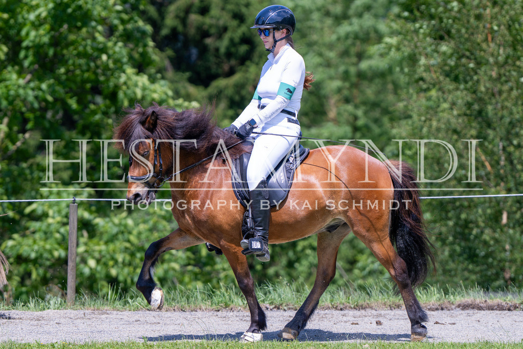 KAI04311 | Ihr sucht einen Fotografen für eure nächste OSI? Ich begleite auch euer Turnier für Islandpferde fotografisch.  - Realisiert mit Pictrs.com