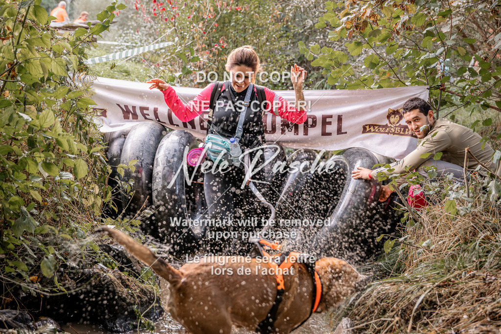 nelerasche_Hunsrück2026_Sa1400-1500_206 | nelerasche