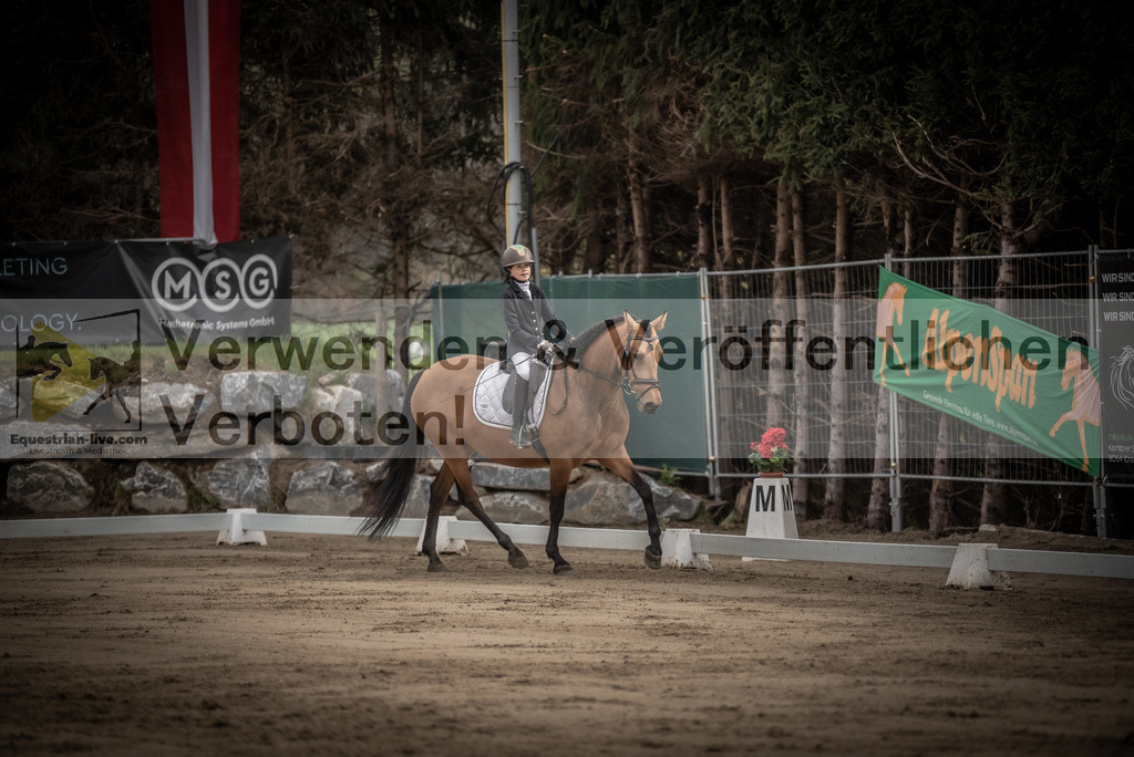 DSC_8377 | equestrian-live-com