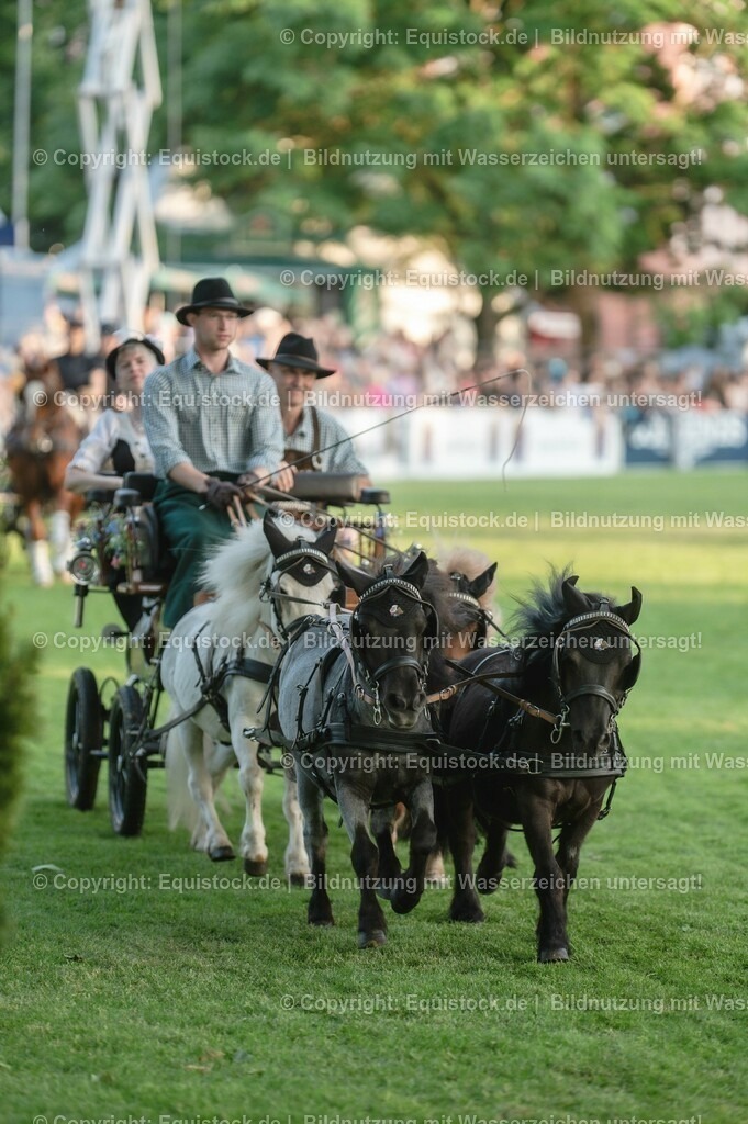 20230526_Pferdenacht_0162 | equistock
