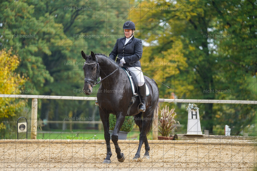 20221007-FAH09831 | Diessen am Ammersee, 2022, Dressur- und Springturnier, Reitsportbilder, Turnierfotografen Bayern, Pferdefotografen, Fotoagentur Herrmann, Turnierbilder