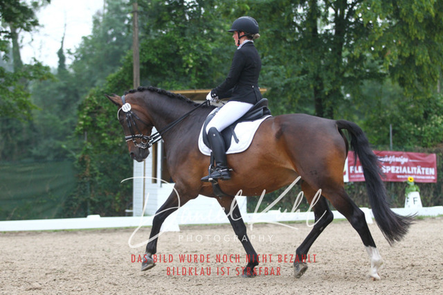 DKP40158 | Turniersportfotografie; Pferdefotografie; Dressurfotografie