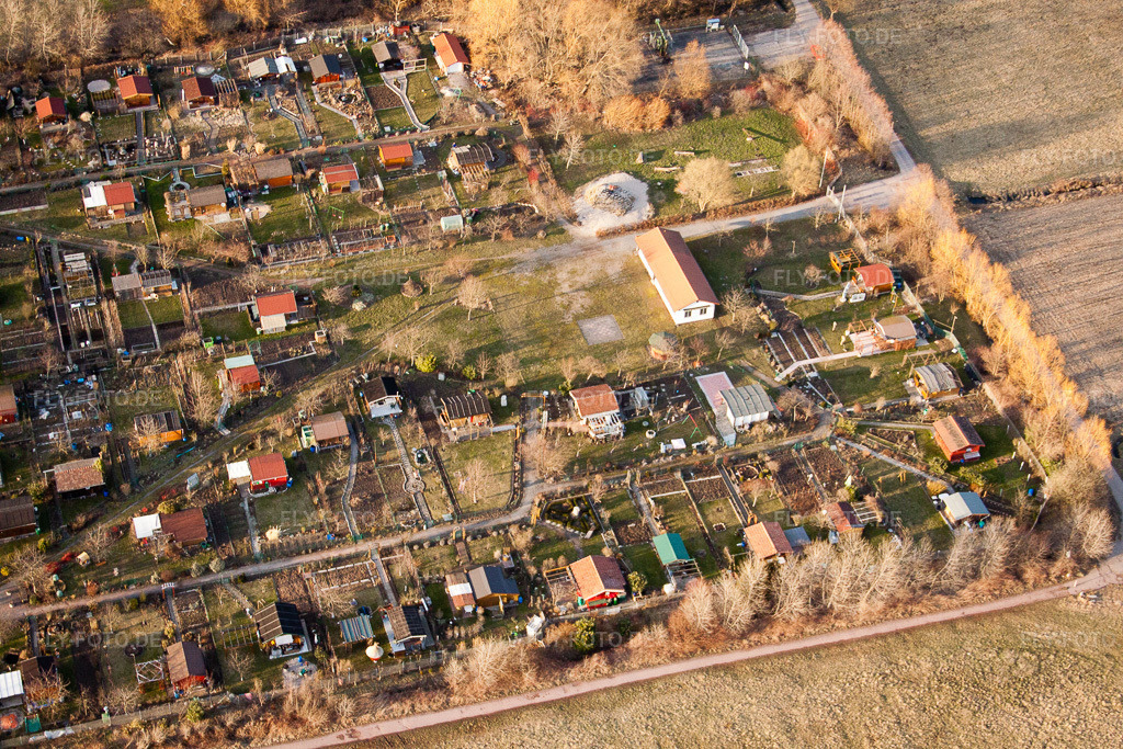 Luftbild: Dammheim, Kleingartenanlage im Ortsteil Dammheim in Landau im Bundesland Rheinland-Pfalz in Deutschland. Foto: IMG_24861.jpg vom 05.03.2010 durch Werner Riehm/FLY-FOTO.de