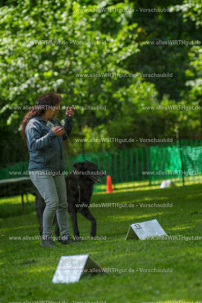 @allesWIRTHgut_Tierfotografie - www.allesWIRTHgut.de - 7R504704 | Professionelle Tierfotografie in Mönchengladbach von Daniel Wirth (allesWIRTHgut). Liebevolle & natürliche Bilder von Hunden & Katzen für unvergessliche Erinnerungen.