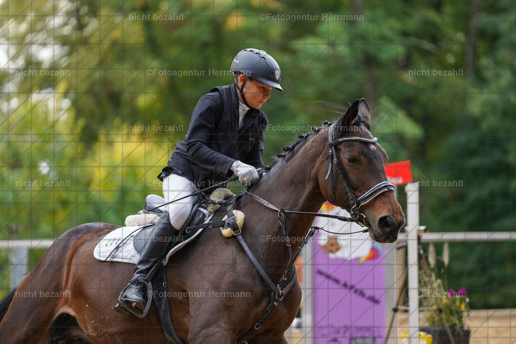 20231008-SN_01184 | Professionelle Turnier- und Reitsportfotografie - mit dem Finger am Auslöser. Pferdebilder aus dem Reitsport von den Turnierfotografen  Bayern , Pferdefotograf Bayern, Pferdeshooting Turnierbilder, Hochzeitsfotograf, Eventfotograf, Hochzeitsbilder