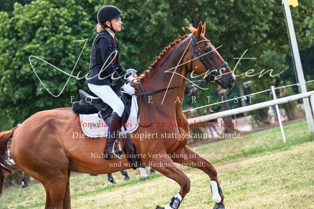 DSC_8447 | Pferde- und Turnierfotografie in Westsachsen. Pferdeportraits, Auftragszeichnungen und intuitive Kunst.