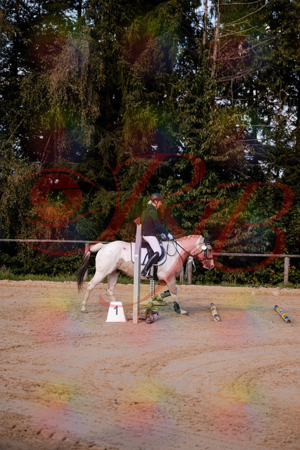 2026_10_03_Siefer-Hof_144155_Z81_14233500 | Professionelle Reitsport-, Turnier- und Eventfotografie von Robert Broda. Galerien mit ausgewählten und bearbeiteten Bildern direkt online ansehen und bestellen.
