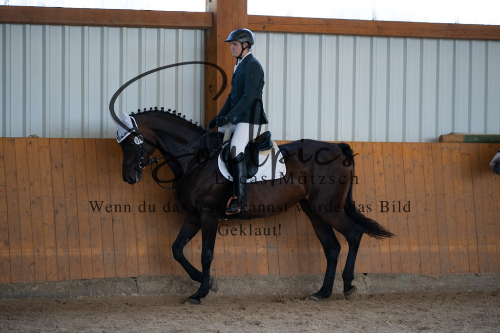 A7V02156 | Turnier/Reitfotograf