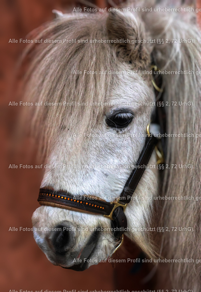 20240225151043_0C4A1957_2-01_4 | krollfotografie - Realisiert mit Pictrs.com