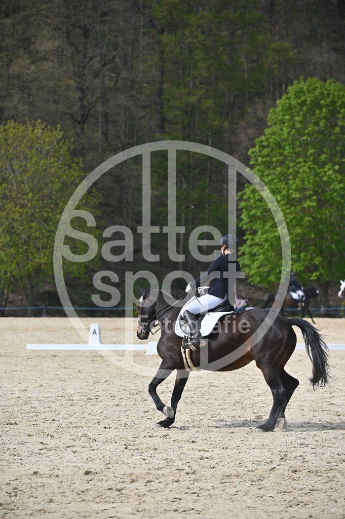 DSC_4269 | sattelsport - Realisiert mit Pictrs.com