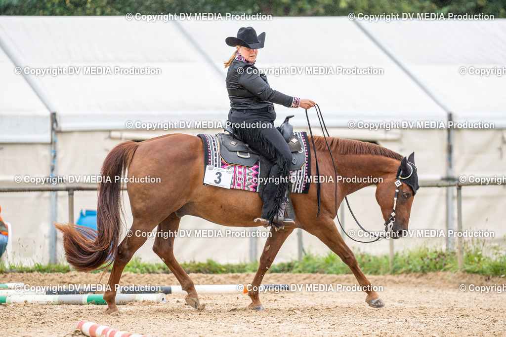 LM Heiligenwald Tag 3-531 | dv-media-shop - Realisiert mit Pictrs.com