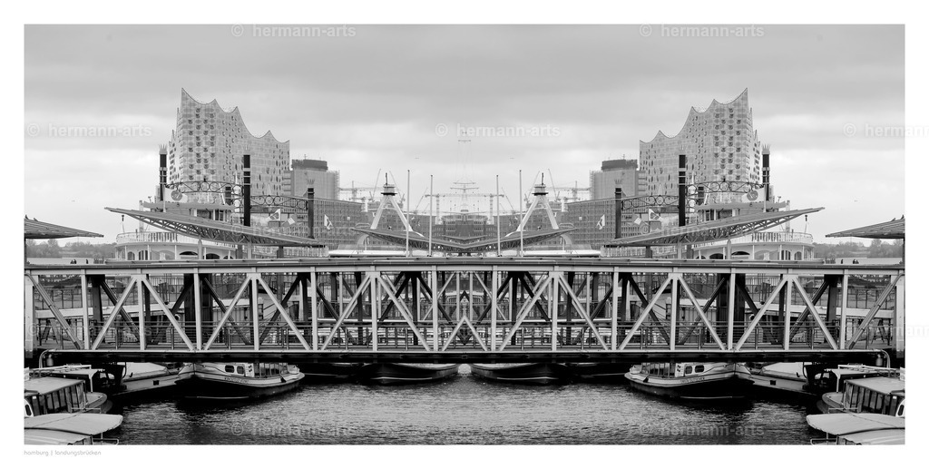 selbstbegegnung_10_03_24_einzeln55 | Photo Foto Kunst Art schwarzweiss Bilder Rheine Münster Berlin Blumen 