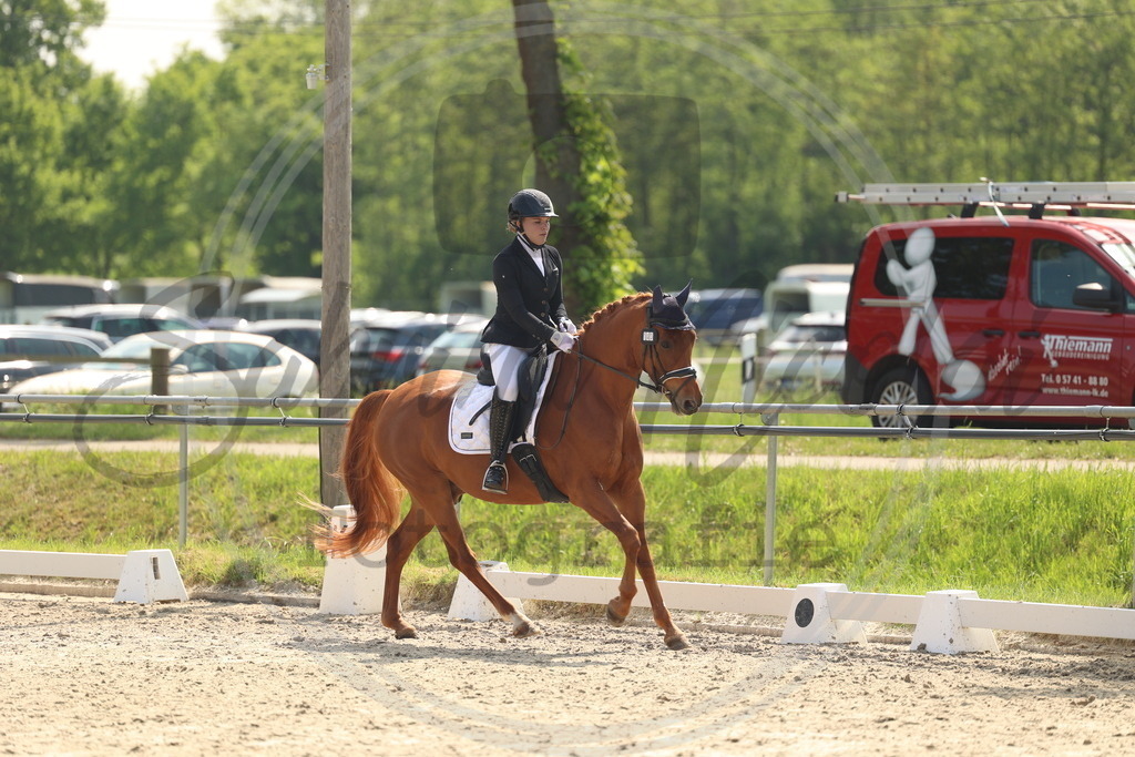 994A6712 | sabrinanicolaifotografie - Realisiert mit Pictrs.com