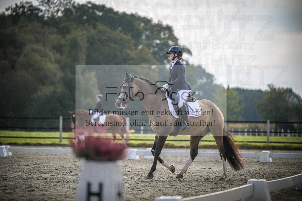 DOS_B038 | Entdecke hochwertige Reitturnierfotos von Foto Oger. Professionell, emotional und authentisch – jetzt Lieblingsmomente im Shop bestellen.Deutschlandweite Turnierfotografie. - Realisiert mit Pictrs.com