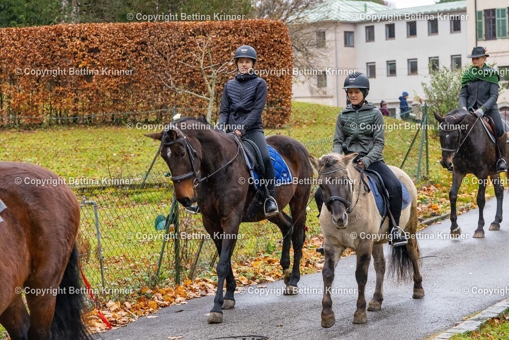 LL25-148 | foto-bettina-krinner - Realisiert mit Pictrs.com