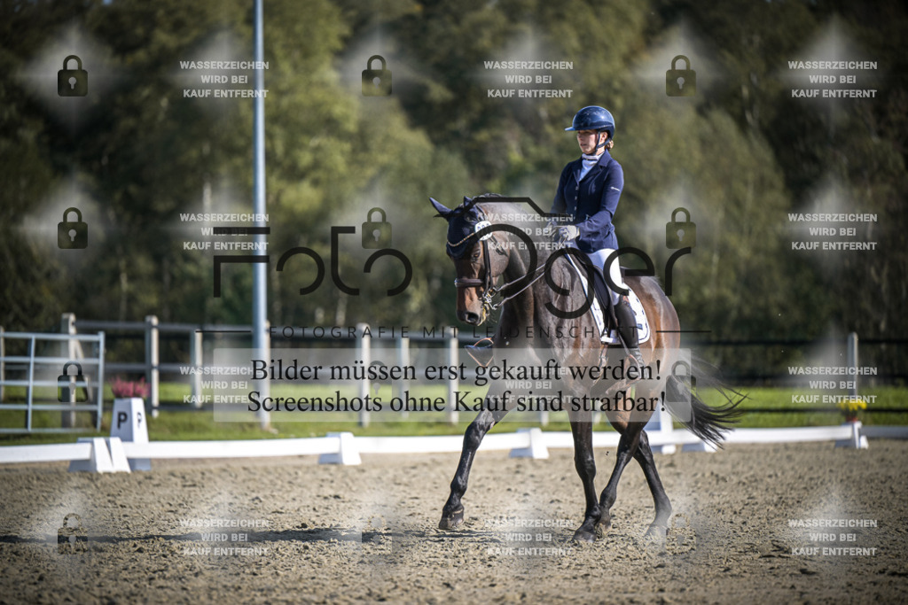 DOS_2639 | Entdecke hochwertige Reitturnierfotos von Foto Oger. Professionell, emotional und authentisch – jetzt Lieblingsmomente im Shop bestellen.Deutschlandweite Turnierfotografie. - Realisiert mit Pictrs.com