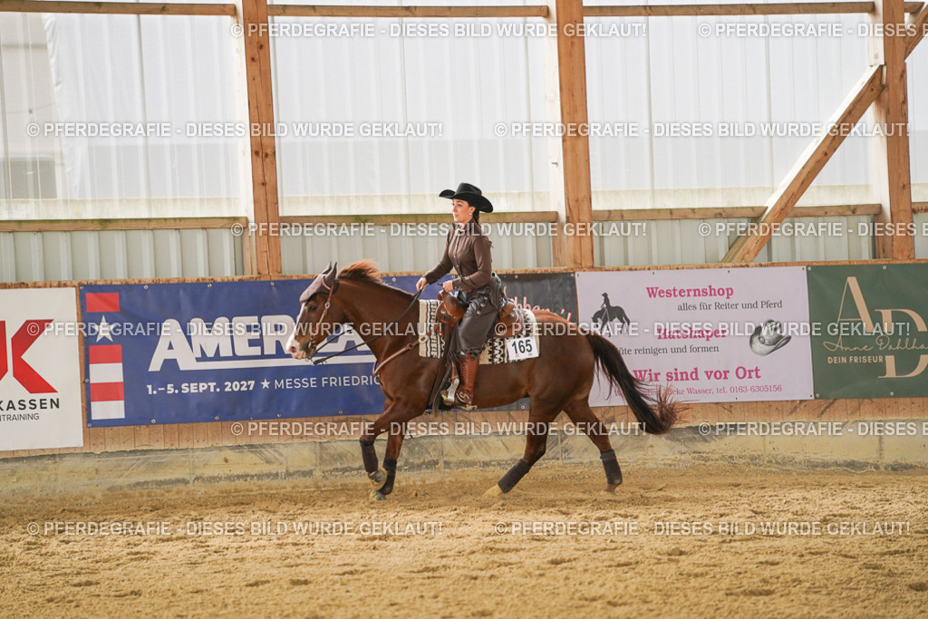 DSC04786 | Pferdegrafie